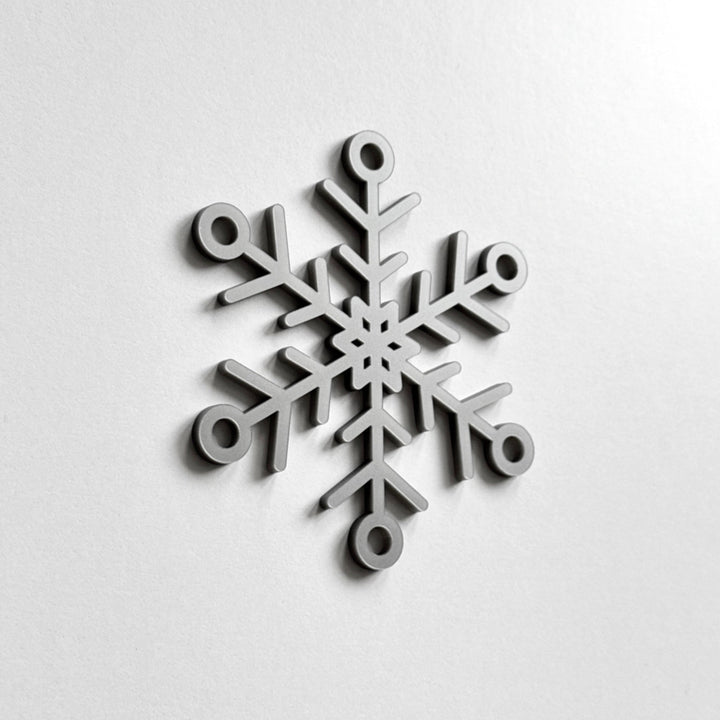 A black and white image of a snowflake.