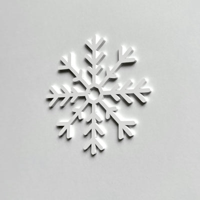 A white snowflake is centered against a plain white background.